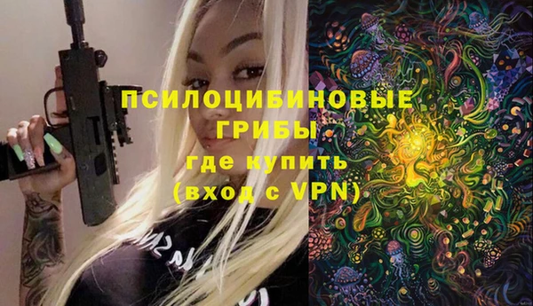 молекула духа Армянск