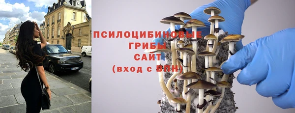 не бодяженный Алексин