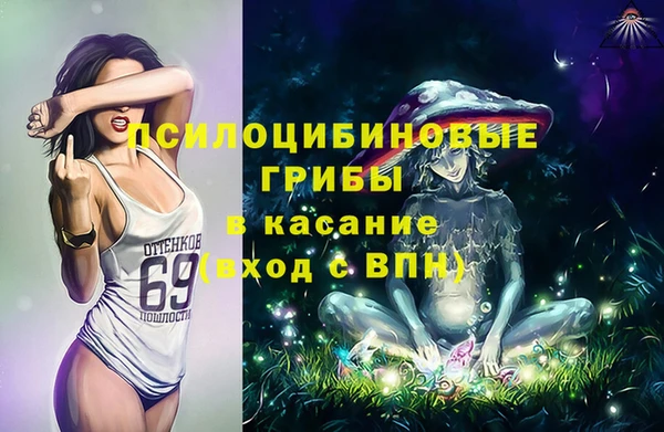 молекула духа Армянск
