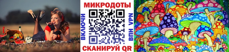 Галлюциногенные грибы Cubensis  наркота  Лениногорск 